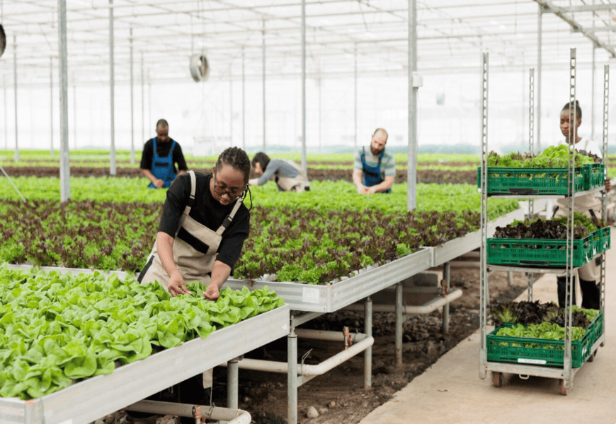 Screenshot from 2025-08-23 11-14-48